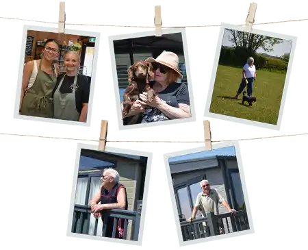 Our Team High Meadows Farm