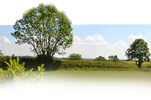Peaceful Countryside Holidays